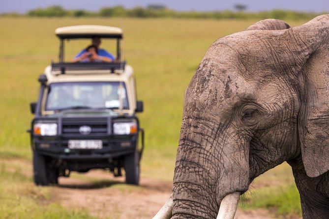 elephant with safari vehicle